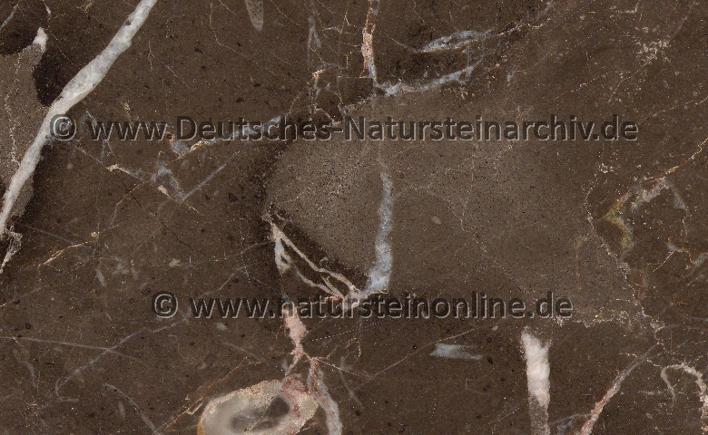 Image of stone  'ORIENTAL BROWN'